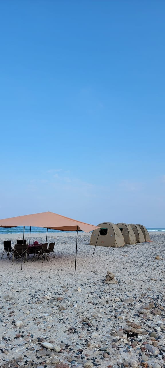 <p><span style="background-color: rgb(254, 254, 224); color: rgb(0, 0, 0);">Viaggio a Socotra</span></p>